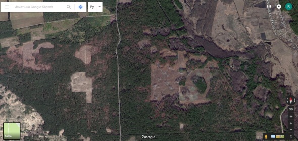 Пустые участки на карте - лес, пострадавший от пожара