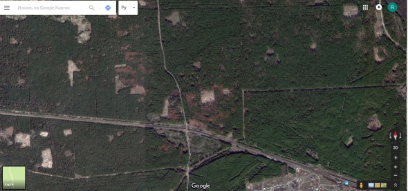Пустые участки на карте - лес, пострадавший от пожара (2)